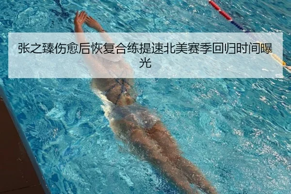 张之臻伤愈后恢复合练提速北美赛季回归时间曝光